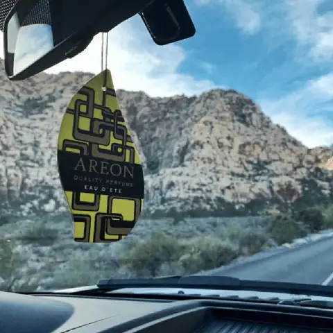 Lá Thơm Treo Xe Ô Tô