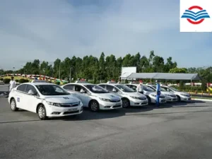 Phụ Nữ Có Nên Học Lái Xe Ô Tô