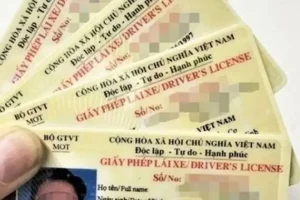 Các Loại Giấy Tờ Bắt Buộc Phải Mang Theo Khi Lái Xe Từ 2025