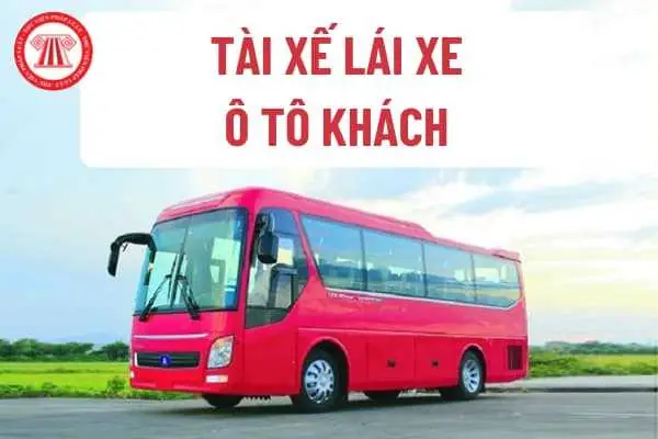 Thời Hạn Khám Sức Khỏe Định Kỳ Bắt Buộc Cho Tài Xế Xe Ô Tô Khách 50 Chỗ