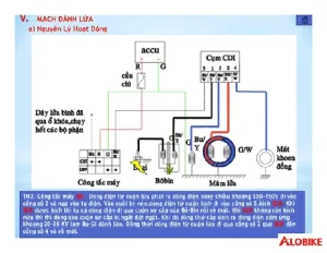 Hệ Thống Immobilizer (chống Trộm Điện Tử)
