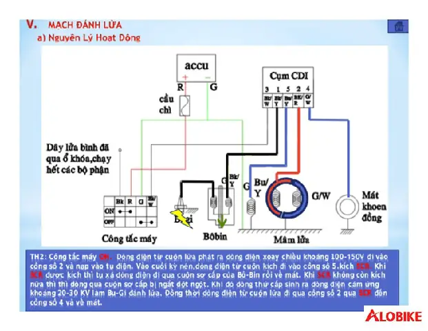 Hệ Thống Immobilizer (chống Trộm Điện Tử)