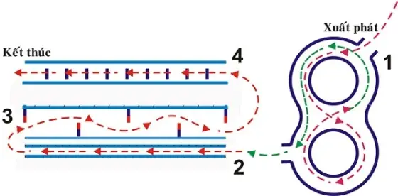 Sơ Đồ Thi Bằng Lái Xe Ô Tô: Kỹ Năng Cần Nằm Lòng Để Vượt Qua Dễ Dàng