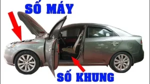 Hướng Dẫn Tra Cứu & Hiểu Rõ Số Khung Xe Ô Tô: Từ Cơ Bản Đến Ứng Dụng Thực Tiễn