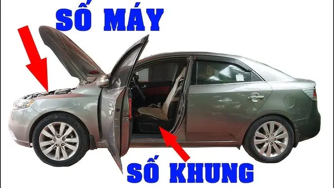 Hướng Dẫn Tra Cứu & Hiểu Rõ Số Khung Xe Ô Tô: Từ Cơ Bản Đến Ứng Dụng Thực Tiễn