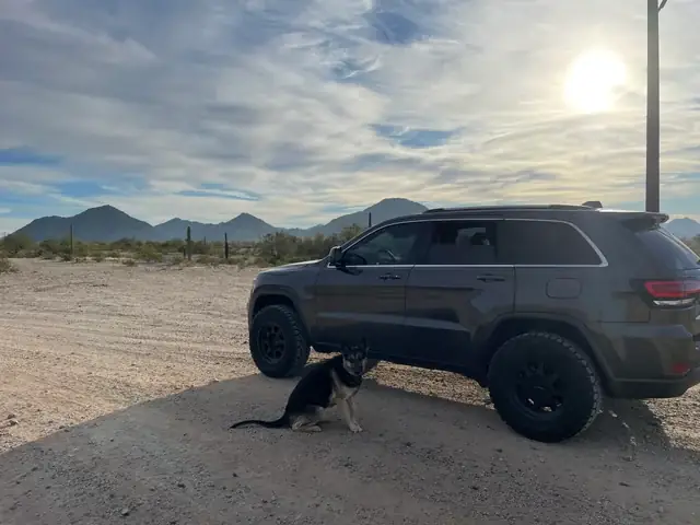 Hướng Dẫn Chi Tiết Cách Tẩy Sơn Nhựa Xe Ô Tô An Toàn Và Hiệu Quả