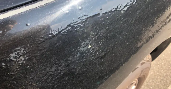 Sơn Bị Rộp Là Gì?