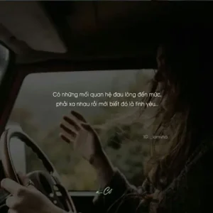 Status Hay Về Xe Ô Tô: Hơn Cả Phương Tiện Di Chuyển