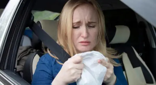 Tại Sao Những Người Say Xe Lại Không Say Khi Lái Xe? - Ảnh 1.