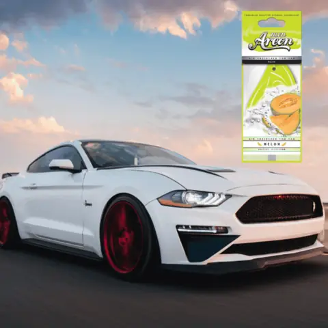Lá Thơm Treo Xe Ô Tô Areon Mon