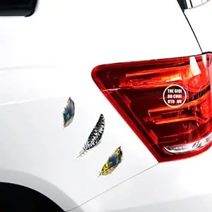 Decal Tem Lông Vũ Dán Trang Trí Ô Tô Ms-11