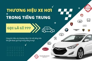 Lựa Chọn Thông Minh Và Cá Tính