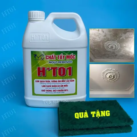 Lựa Chọn Đỗ Xe An Toàn Và Thông Tin Về Phí