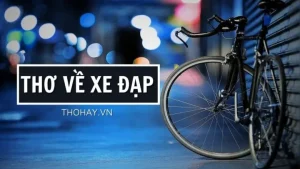 Nghề Thợ Sửa Xe Ô Tô: Hơn Cả Một Công Việc Mưu Sinh