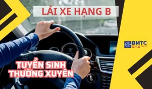 Thông Báo Tuyển Sinh Học Lái Xe Ô Tô: Hướng Dẫn Chi Tiết, Điều Kiện, Hồ Sơ Và Quy Trình