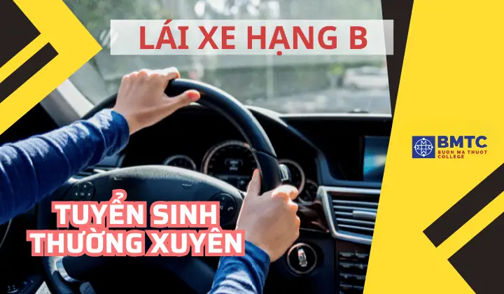 Thông Báo Tuyển Sinh Học Lái Xe Ô Tô: Hướng Dẫn Chi Tiết, Điều Kiện, Hồ Sơ Và Quy Trình