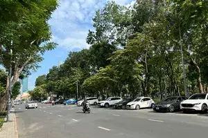 Tp.hcm Thu Được 22 Tỉ Đồng Sau 4 Năm Thu Phí Đỗ Xe Ô Tô Dưới Lòng Đường