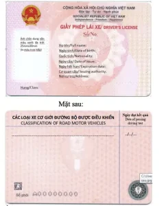 Mẫu Bằng Lái Xe Mới Từ 2025