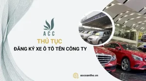 Thủ Tục Đăng Ký Xe Ô Tô Tên Công Ty