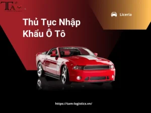 Nhập Khẩu Theo Diện Tài Sản Di Chuyển Của Việt Kiều