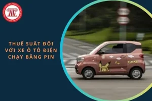 Xe Ô Tô Điện Chạy Bằng Pin Có Phải Là Đối Tượng Chịu Thuế Tiêu Thụ Đặc Biệt Không?