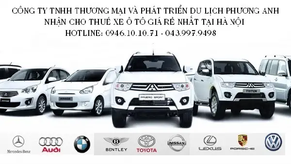 Nên Chọn Thuê Xe Tự Lái Hay Có Lái?