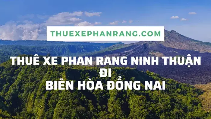 Các Loại Hình Dịch Vụ Thuê Xe Ô Tô Tại Biên Hòa Phổ Biến