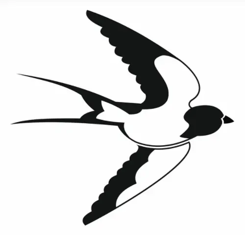 Thuê Xe Ô Tô Cam Ranh