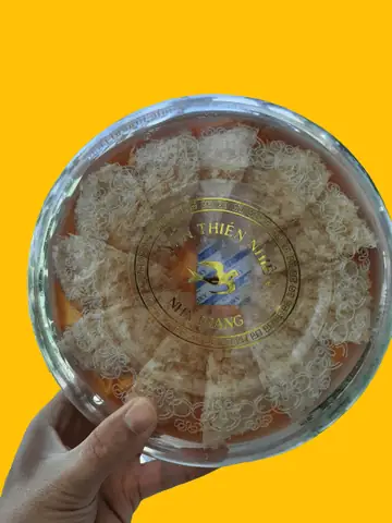 Thuê Xe Ô Tô Cam Ranh