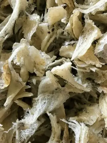 Thuê Xe Ô Tô Cam Ranh