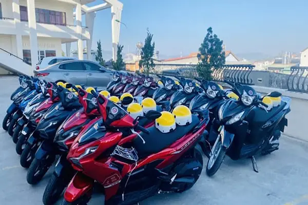 Kinh Nghiệm Thuê Xe Ô Tô Đi Chơi Ở Đà Lạt: Hướng Dẫn Chi Tiết Từ A-z