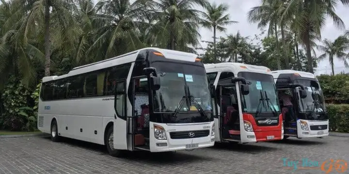 Các Loại Xe Ô Tô Cho Thuê Tại Quận Gò Vấp (có Tài Xế)