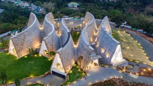 Cung Đường Hoa Dã Quỳ Tuyệt Đẹp