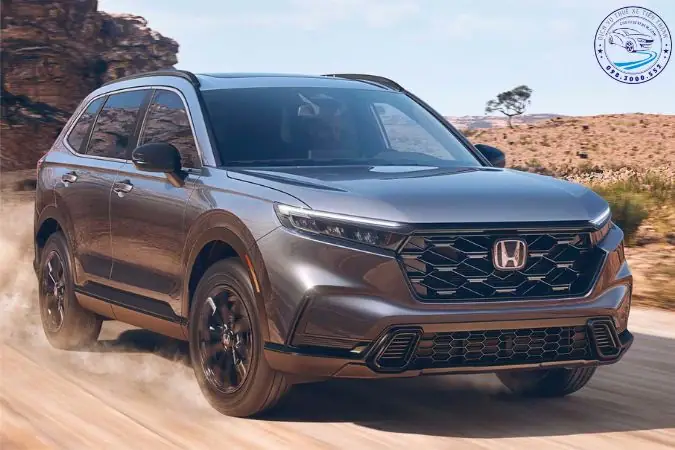 Dịch Vụ Thuê Xe Ô Tô Tại An Giang: Hướng Dẫn Chọn Xe, Giá Cả Và Kinh Nghiệm