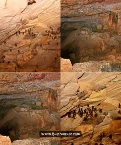 Tour Trekking Hang Dơi Phú Quốc