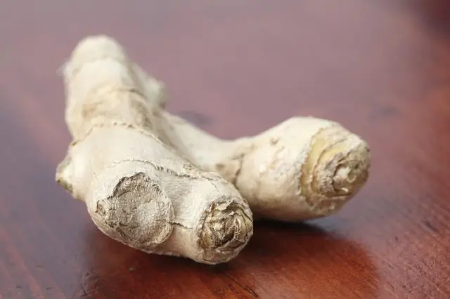 Gừng Tươi: Bài Thuốc Dân Gian Hiệu Nghiệm