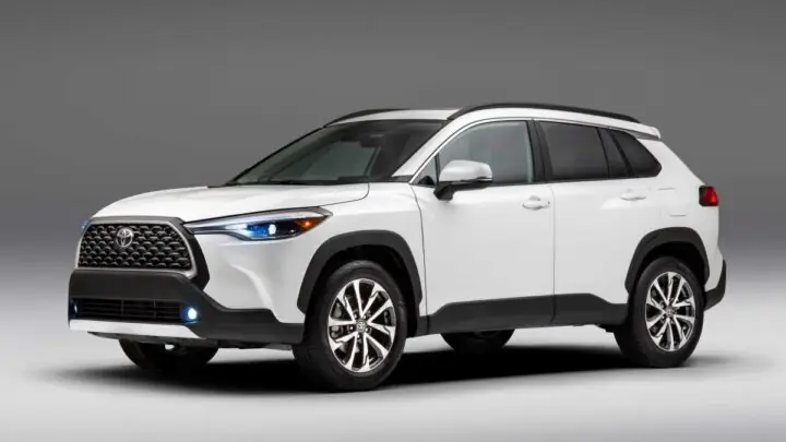 Phân Khúc Xe Hạng Sang Và Xe Điện