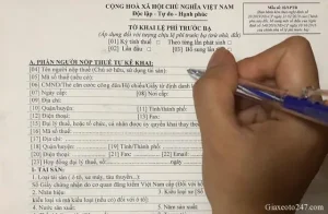 Mẫu Tờ Khai Lệ Phí Trước Bạ Xe Ô Tô: Hướng Dẫn Chi Tiết & Cập Nhật Mới Nhất