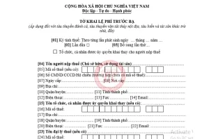 Hướng Dẫn Kê Khai Tờ Khai Thuế Đăng Ký Xe Ô Tô Chi Tiết Nhất