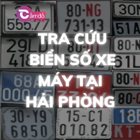 Hướng Dẫn Tra Biển Số Xe Ô Tô Hải Phòng Chính Xác, Nhanh Chóng