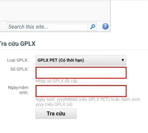 Tại Sao Cần Tra Cứu Bằng Lái Xe Ô Tô?