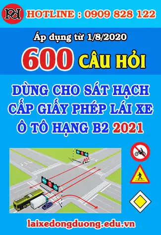 Mẹo Ghi Nhớ Các Câu Hỏi Điểm Liệt