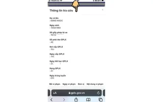 Tra Cứu Giấy Phép Lái Xe Trên Trang Của Bộ Gtvt