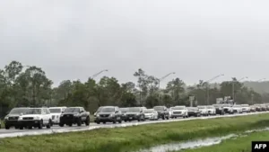 Trong Ô Tô Xe Máy Nếu Chúng: 5 Nguy Cơ Chết Người Và Cách Xử Lý Cấp Tốc