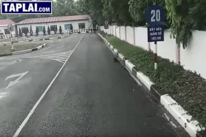 Đội Ngũ Giảng Viên Tại Taplai.com Chuyên Nghiệp Và Có Tâm Với Nghề