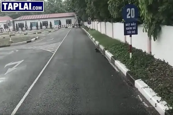 Đội Ngũ Giảng Viên Tại Taplai.com Chuyên Nghiệp Và Có Tâm Với Nghề