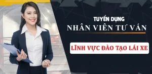 Tư Vấn Học Lái Xe Ô Tô: Từ A Đến Z Cho Người Mới Bắt Đầu