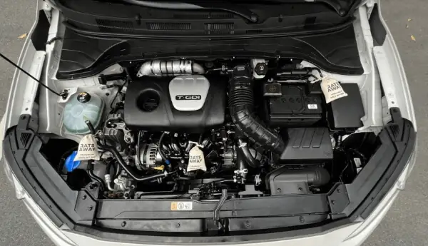 Những Lưu Ý Khi Treo Túi Chống Chuột Xe Ô Tô Để Phát Huy Tác Dụng