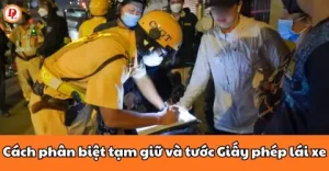 Tước Bằng Lái Xe Ô Tô