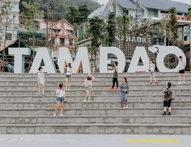 Tam Đảo (vĩnh Phúc): Đà Lạt Thu Nhỏ Giữa Lòng Miền Bắc